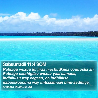 Sabuurradii 11:4 SOM Bible Verse Image