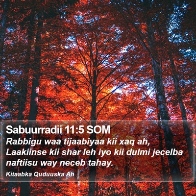 Sabuurradii 11:5 SOM Bible Verse Image
