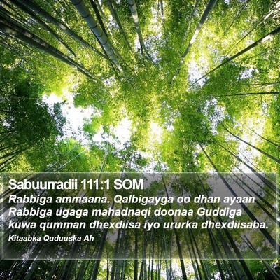 Sabuurradii 111:1 SOM Bible Verse Image