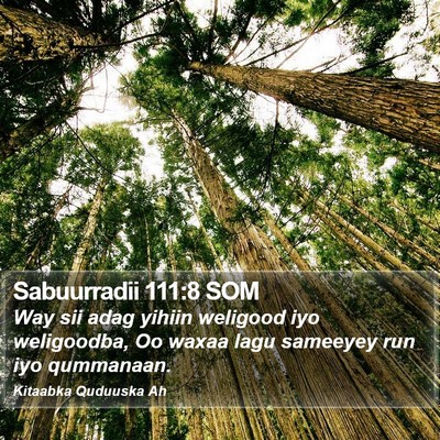 Sabuurradii 111:8 SOM Bible Verse Image
