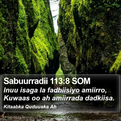 Sabuurradii 113:8 SOM Bible Verse Image