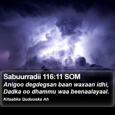 Sabuurradii 116:11 SOM Bible Verse Image