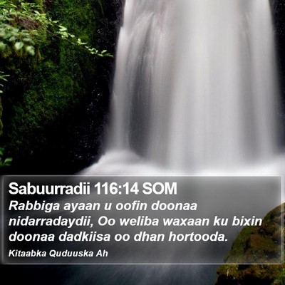 Sabuurradii 116:14 SOM Bible Verse Image
