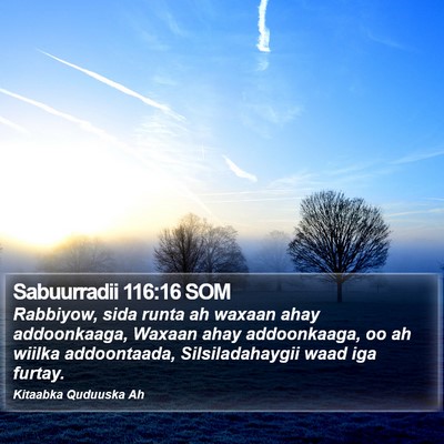 Sabuurradii 116:16 SOM Bible Verse Image
