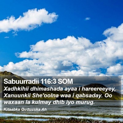 Sabuurradii 116:3 SOM Bible Verse Image
