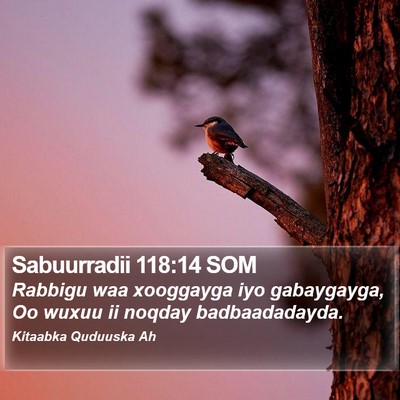 Sabuurradii 118:14 SOM Bible Verse Image