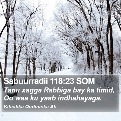 Sabuurradii 118:23 SOM Bible Verse Image