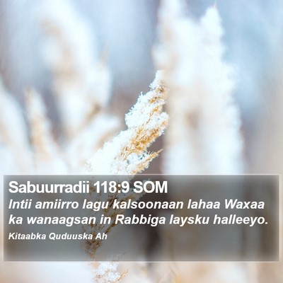 Sabuurradii 118:9 SOM Bible Verse Image