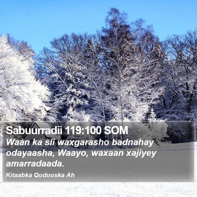 Sabuurradii 119:100 SOM Bible Verse Image
