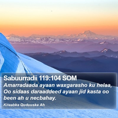 Sabuurradii 119:104 SOM Bible Verse Image