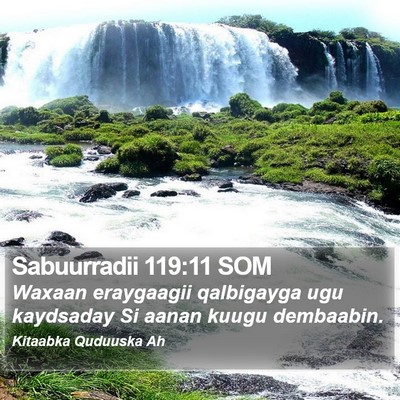 Sabuurradii 119:11 SOM Bible Verse Image