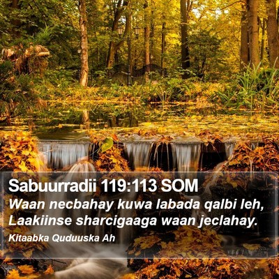 Sabuurradii 119:113 SOM Bible Verse Image
