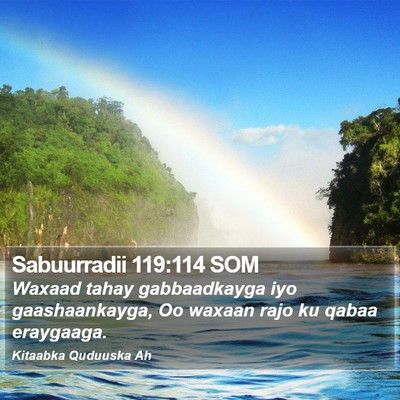 Sabuurradii 119:114 SOM Bible Verse Image