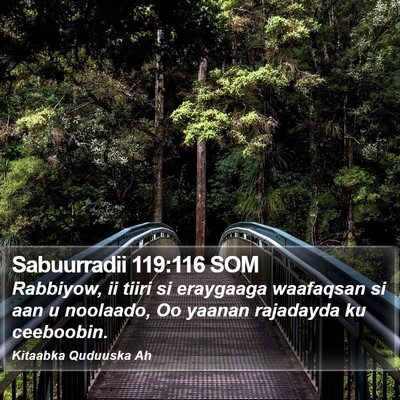 Sabuurradii 119:116 SOM Bible Verse Image
