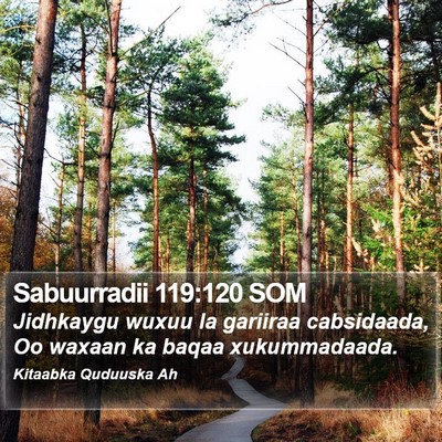 Sabuurradii 119:120 SOM Bible Verse Image