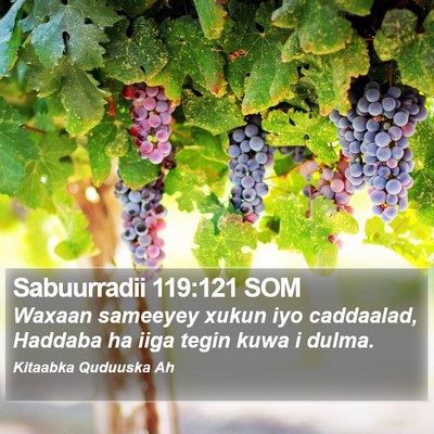 Sabuurradii 119:121 SOM Bible Verse Image