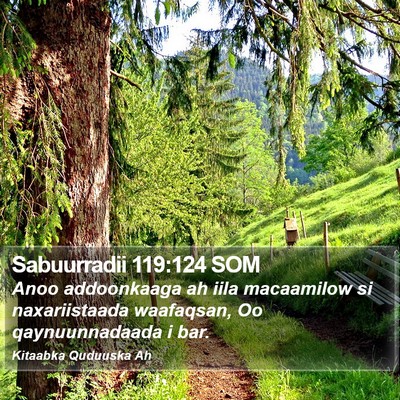 Sabuurradii 119:124 SOM Bible Verse Image