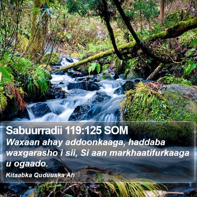 Sabuurradii 119:125 SOM Bible Verse Image