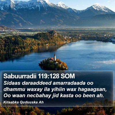 Sabuurradii 119:128 SOM Bible Verse Image