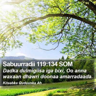 Sabuurradii 119:134 SOM Bible Verse Image