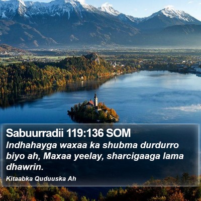 Sabuurradii 119:136 SOM Bible Verse Image