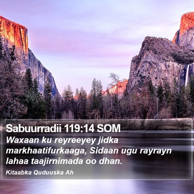 Sabuurradii 119:14 SOM Bible Verse Image