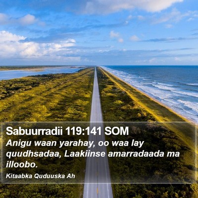 Sabuurradii 119:141 SOM Bible Verse Image