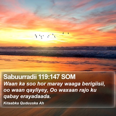 Sabuurradii 119:147 SOM Bible Verse Image