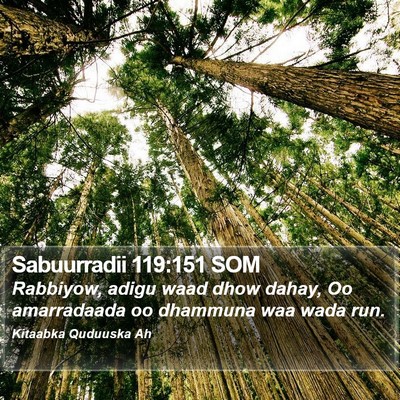 Sabuurradii 119:151 SOM Bible Verse Image