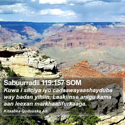 Sabuurradii 119:157 SOM Bible Verse Image