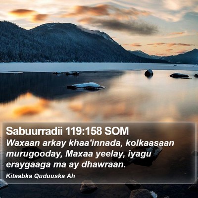 Sabuurradii 119:158 SOM Bible Verse Image