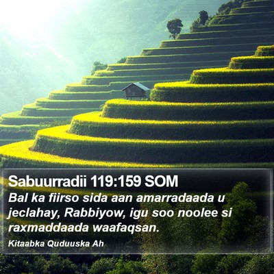 Sabuurradii 119:159 SOM Bible Verse Image