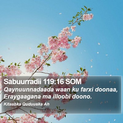 Sabuurradii 119:16 SOM Bible Verse Image