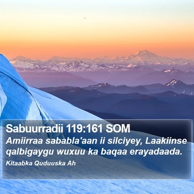 Sabuurradii 119:161 SOM Bible Verse Image