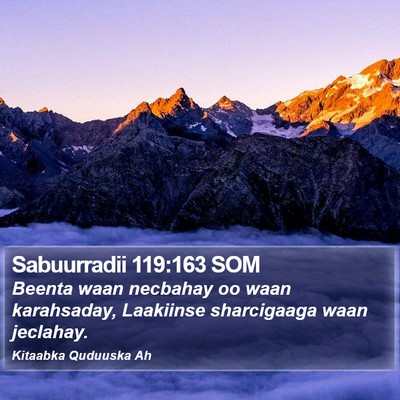 Sabuurradii 119:163 SOM Bible Verse Image