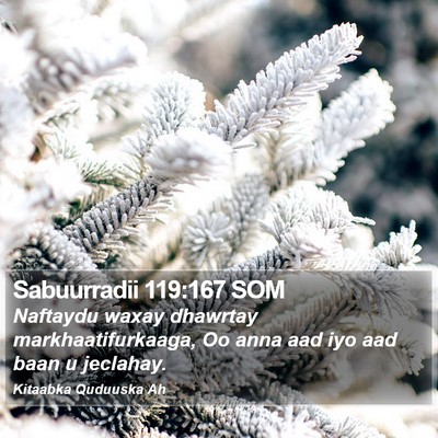 Sabuurradii 119:167 SOM Bible Verse Image