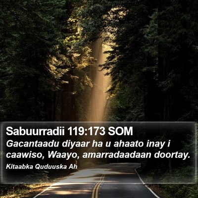 Sabuurradii 119:173 SOM Bible Verse Image
