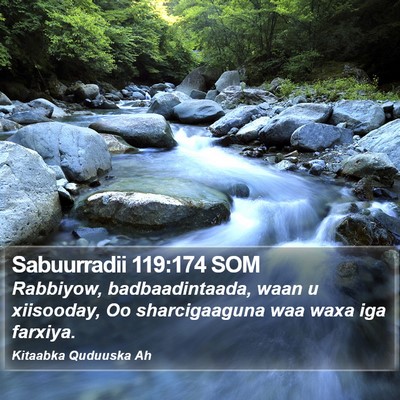 Sabuurradii 119:174 SOM Bible Verse Image