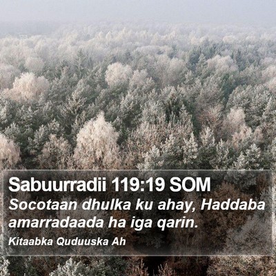 Sabuurradii 119:19 SOM Bible Verse Image