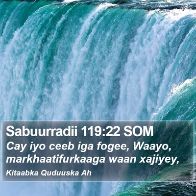 Sabuurradii 119:22 SOM Bible Verse Image