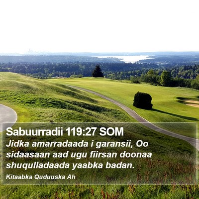 Sabuurradii 119:27 SOM Bible Verse Image