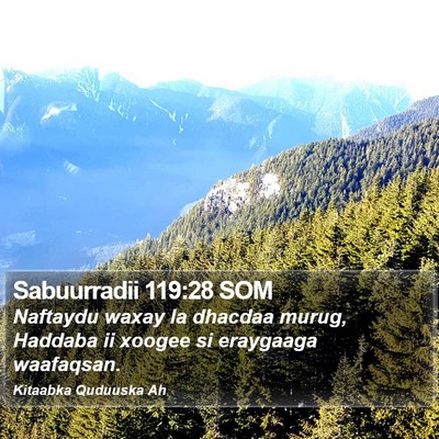 Sabuurradii 119:28 SOM Bible Verse Image