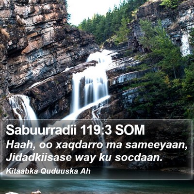 Sabuurradii 119:3 SOM Bible Verse Image