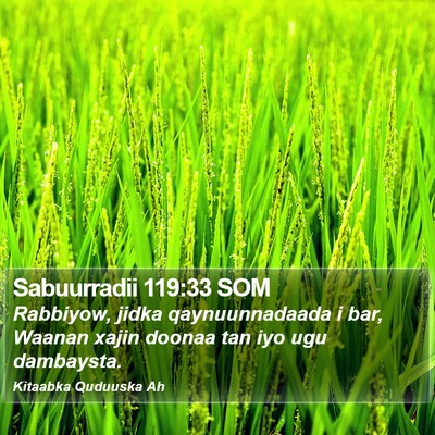 Sabuurradii 119:33 SOM Bible Verse Image
