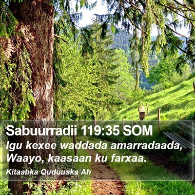 Sabuurradii 119:35 SOM Bible Verse Image