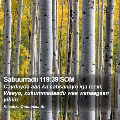 Sabuurradii 119:39 SOM Bible Verse Image
