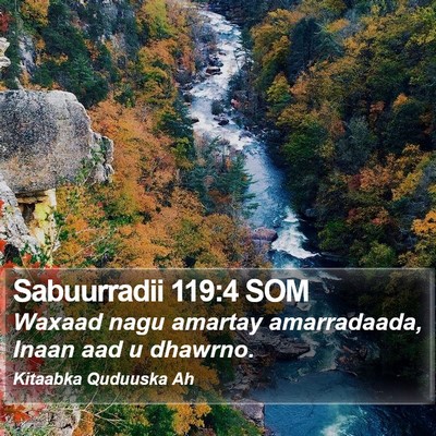 Sabuurradii 119:4 SOM Bible Verse Image