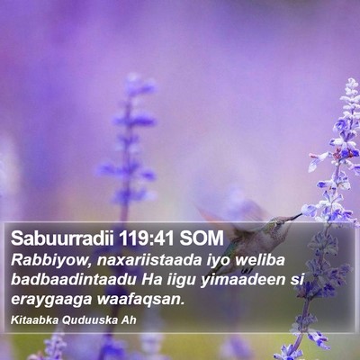 Sabuurradii 119:41 SOM Bible Verse Image