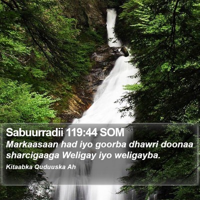 Sabuurradii 119:44 SOM Bible Verse Image