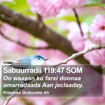 Sabuurradii 119:47 SOM Bible Verse Image